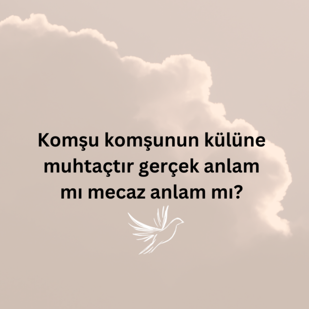 Komşu komşunun külüne muhtaçtır gerçek anlam mı mecaz anlam mı? 1