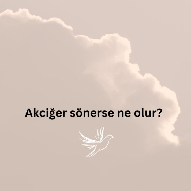 Akciğer sönerse ne olur? 1