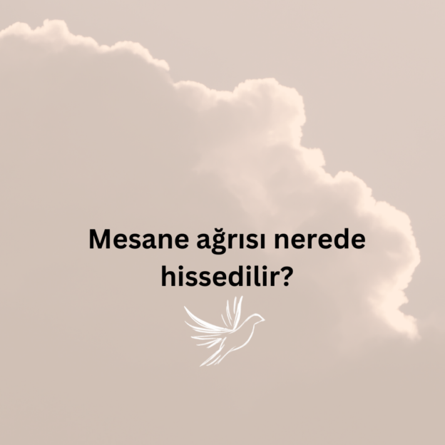 Mesane ağrısı nerede hissedilir? 1