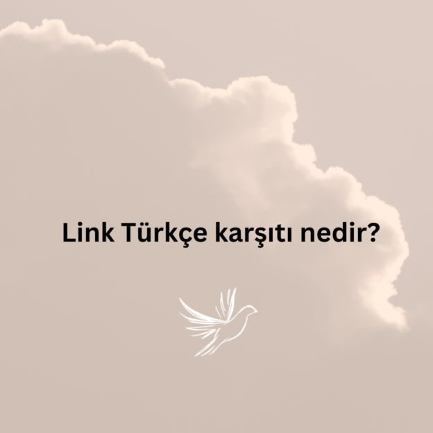 Link Türkçe karşıtı nedir? 1