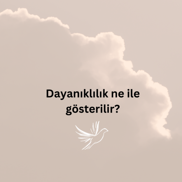 Dayanıklılık ne ile gösterilir? 1