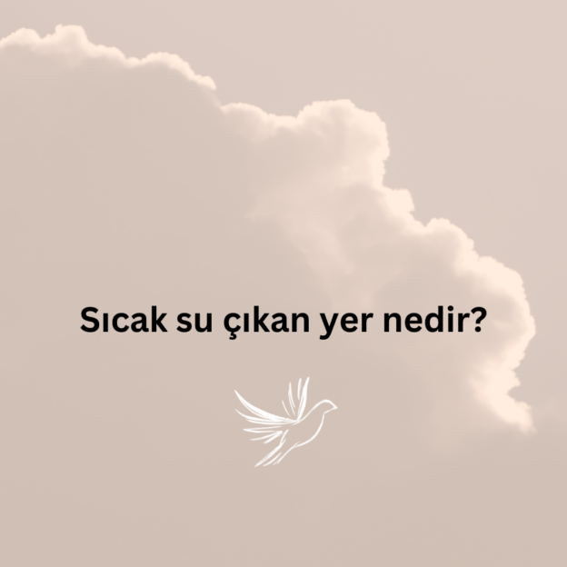 Sıcak su çıkan yer nedir? 1