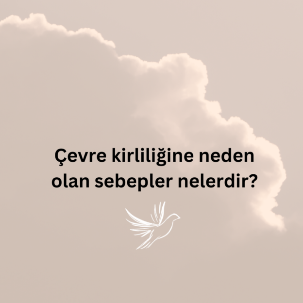 Çevre kirliliğine neden olan sebepler nelerdir? 1