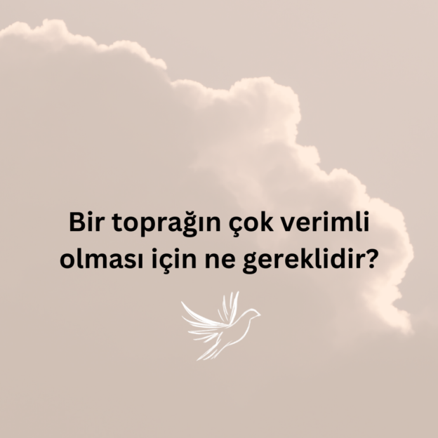 Bir toprağın çok verimli olması için ne gereklidir? 1