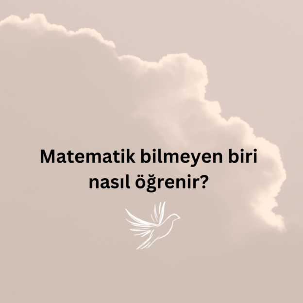 Matematik bilmeyen biri nasıl öğrenir? 1