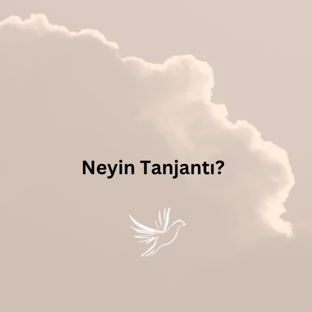 Neyin Tanjantı? 1