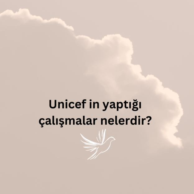 Unicef in yaptığı çalışmalar nelerdir? 1