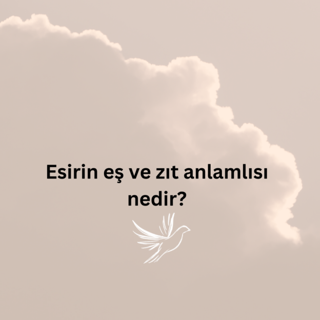 Esirin eş ve zıt anlamlısı nedir? 1