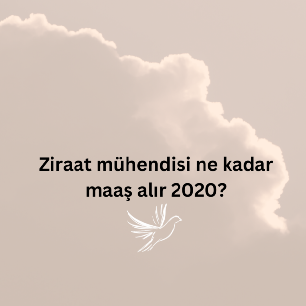 Ziraat mühendisi ne kadar maaş alır 2020? 1