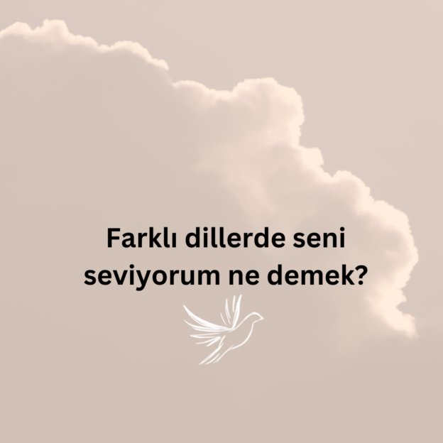 Farklı dillerde seni seviyorum ne demek? 1
