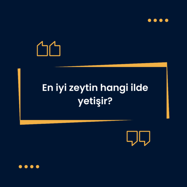 En iyi zeytin hangi ilde yetişir? 1