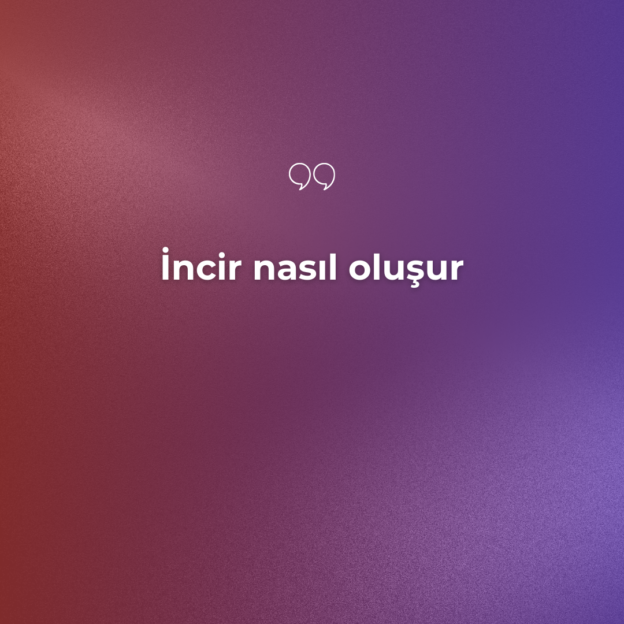 İncir nasıl oluşur 1