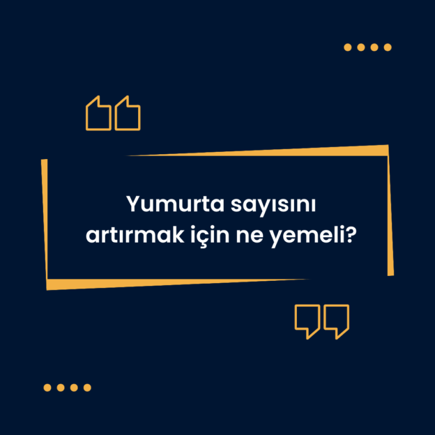Yumurta sayısını artırmak için ne yemeli? 1