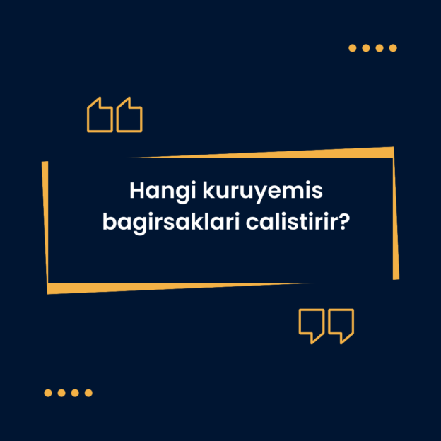 Hangi kuruyemis bagirsaklari calistirir? 10