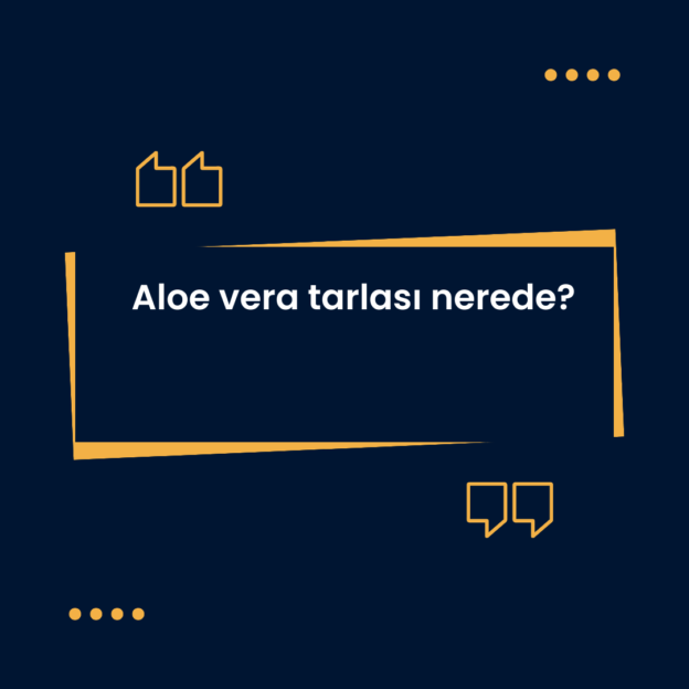 Aloe vera tarlası nerede? 1