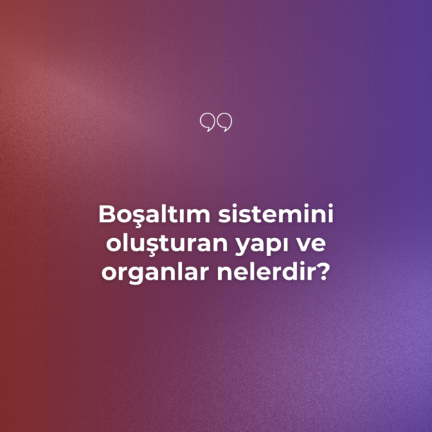 Boşaltım sistemini oluşturan yapı ve organlar nelerdir? 1