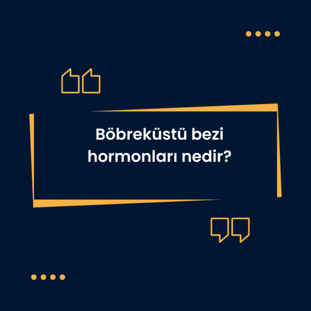 Böbreküstü bezi hormonları nedir? 1