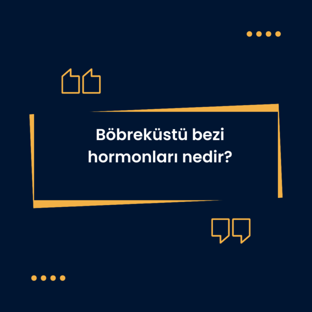 Böbreküstü bezi hormonları nedir? 7