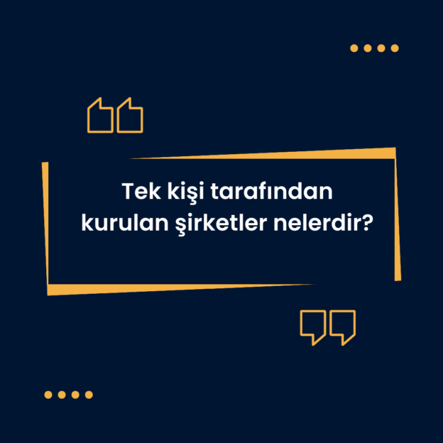 Tek kişi tarafından kurulan şirketler nelerdir? 1