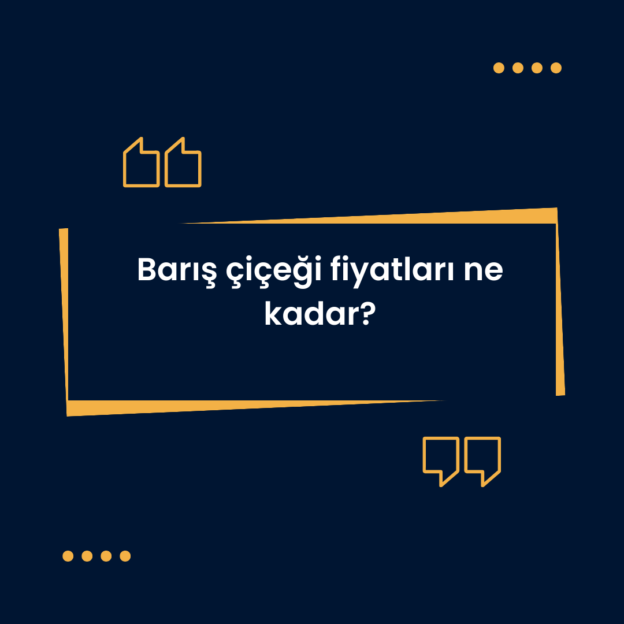 Barış çiçeği fiyatları ne kadar? 1