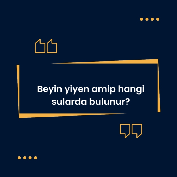 Beyin yiyen amip hangi sularda bulunur? 1