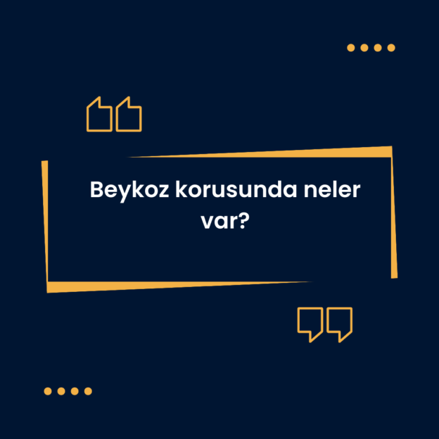 Beykoz korusunda neler var? 1