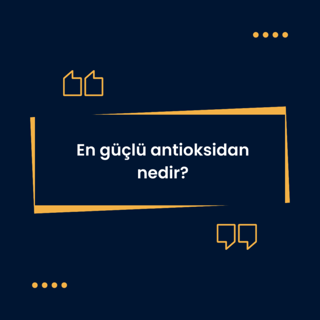 En güçlü antioksidan nedir? 1