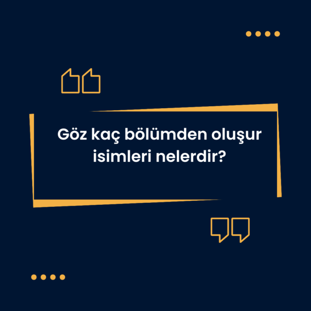 Göz kaç bölümden oluşur isimleri nelerdir? 1