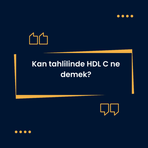Kan tahlilinde HDL C ne demek? 1