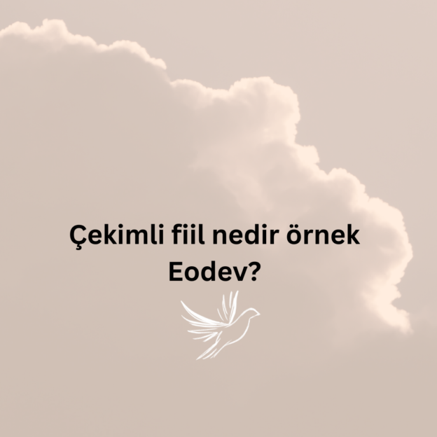 Çekimli fiil nedir örnek Eodev? 3