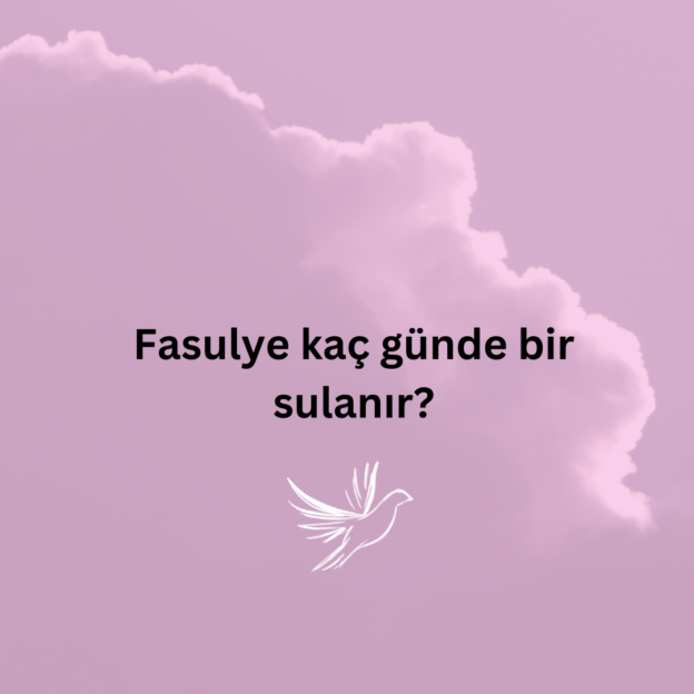 Fasulye kaç günde bir sulanır? 1