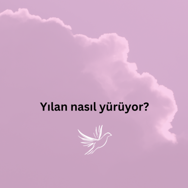 Yılan nasıl yürüyor? 1