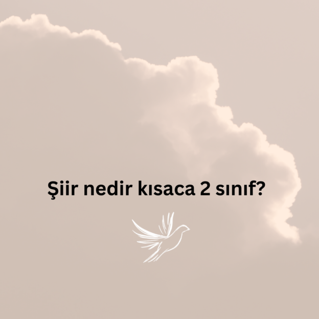 Şiir nedir kısaca 2 sınıf? 1