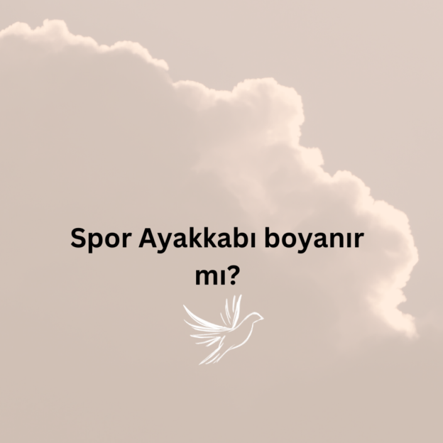 Spor Ayakkabı boyanır mı? 1