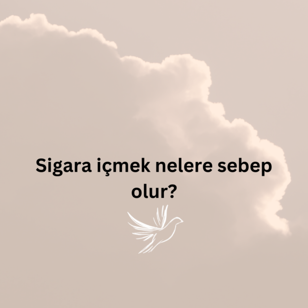 Sigara içmek nelere sebep olur? 1