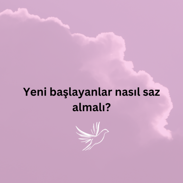 Yeni başlayanlar nasıl saz almalı? 1