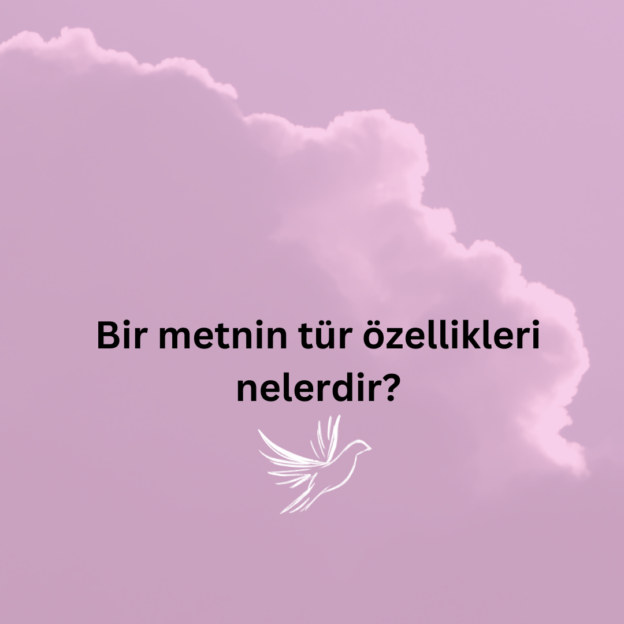 Bir metnin tür özellikleri nelerdir? 10