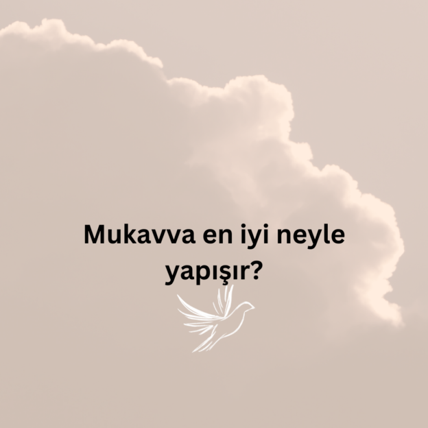 Mukavva en iyi neyle yapışır? 1