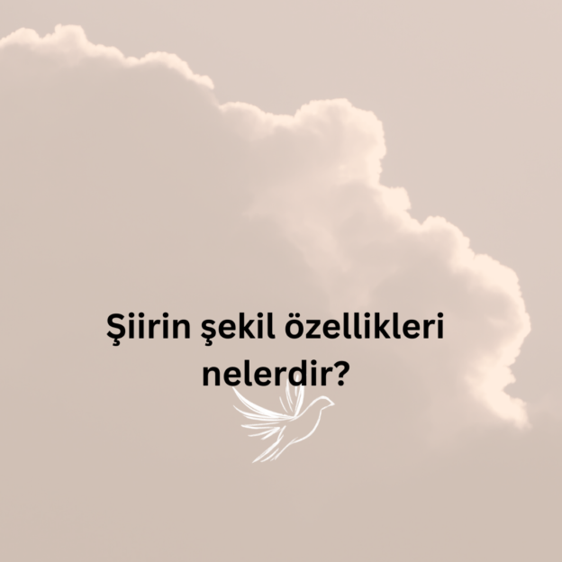 Şiirin şekil özellikleri nelerdir? 1