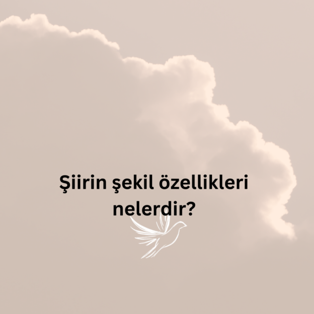 Şiirin şekil özellikleri nelerdir? 8