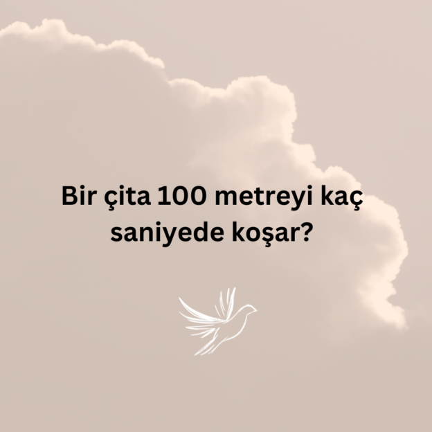 Bir çita 100 metreyi kaç saniyede koşar? 1