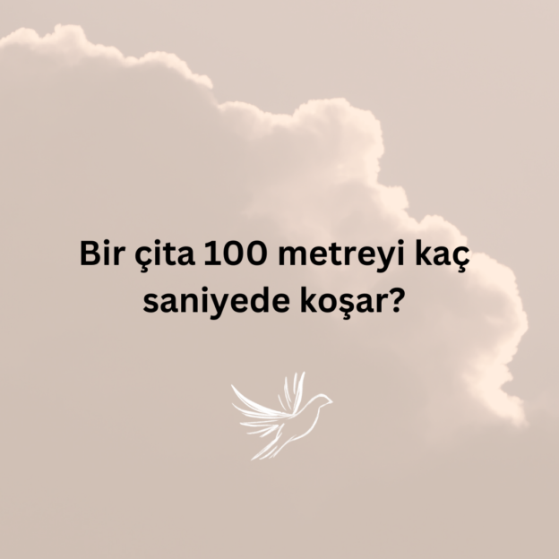 Bir çita 100 metreyi kaç saniyede koşar? 6