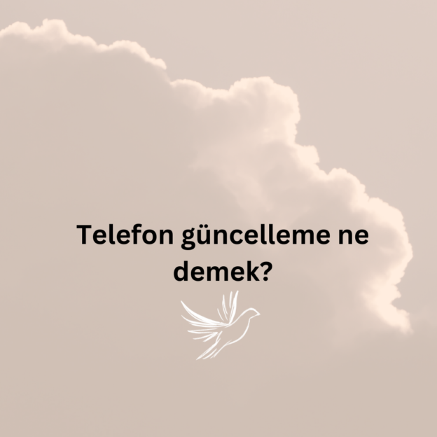 Telefon güncelleme ne demek? 8