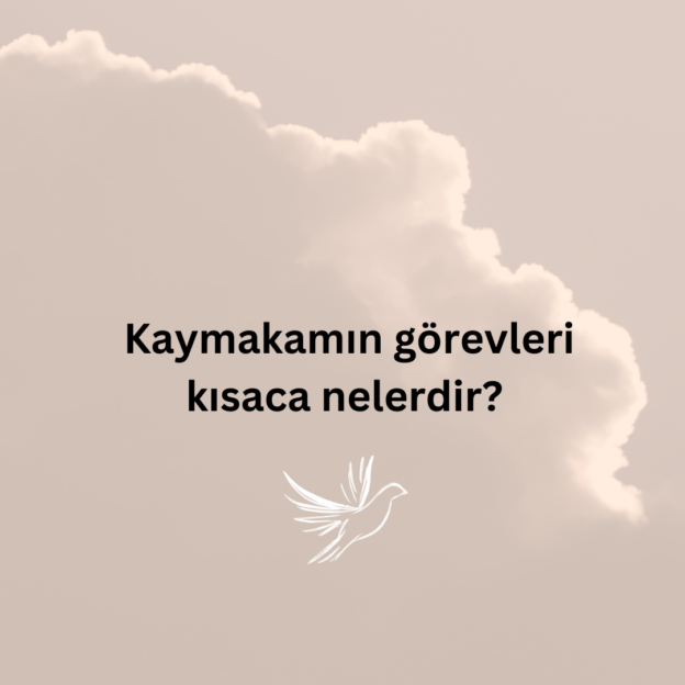 Kaymakamın görevleri kısaca nelerdir? 1
