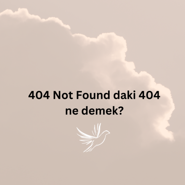 404 Not Found daki 404 ne demek? 1