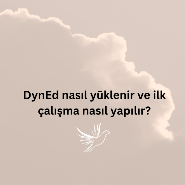 DynEd nasıl yüklenir ve ilk çalışma nasıl yapılır? 1