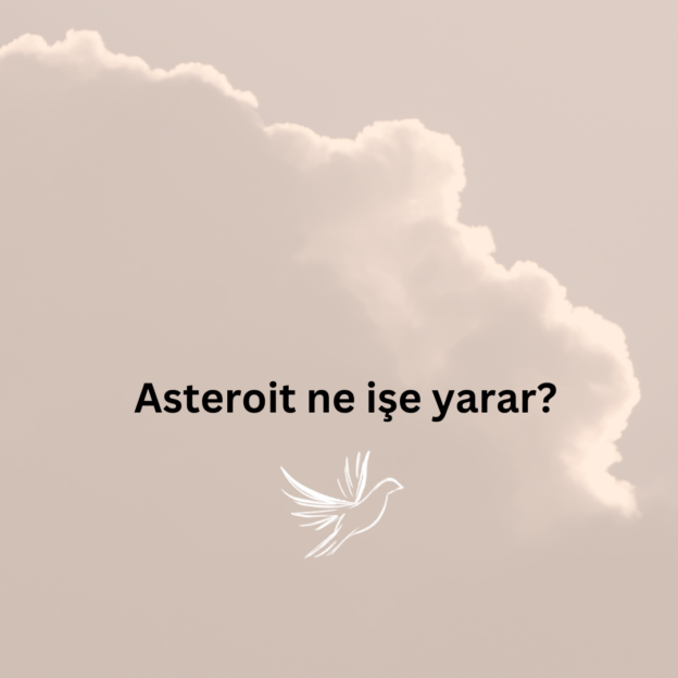 Asteroit ne işe yarar? 1