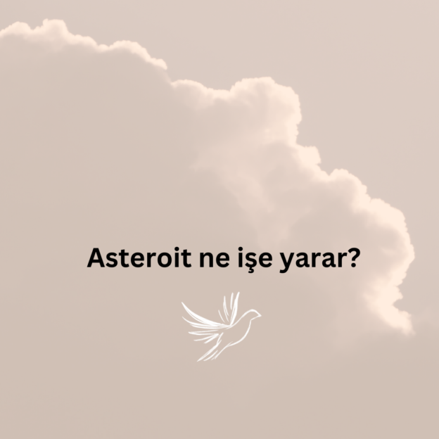 Asteroit ne işe yarar? 2