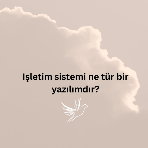 Işletim sistemi ne tür bir yazılımdır? 1