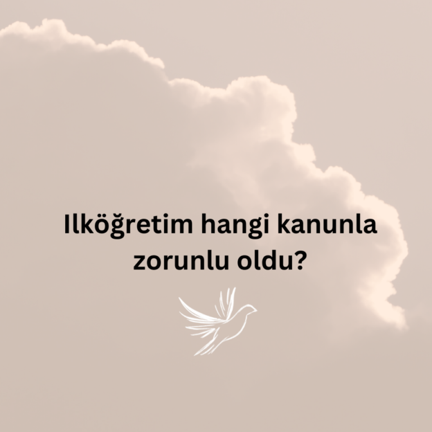 Ilköğretim hangi kanunla zorunlu oldu? 8